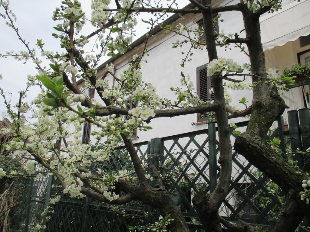 Dimora & Arte B&B Canneto sull'Oglio 외부 사진